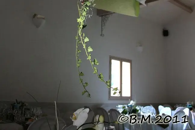 Laurent Renucci By R. — photo 5