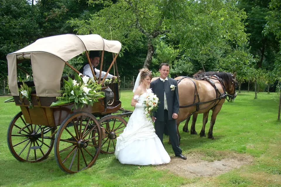 Les Calèches du Sarladais — photo 2
