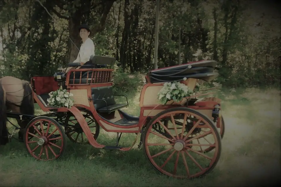Les Calèches du Sarladais