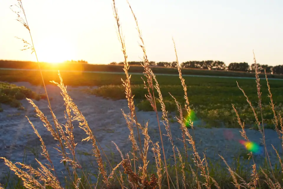 Sunny Day — photo 8