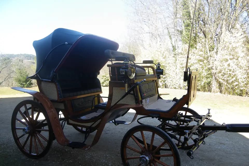 Les Calèches du Sarladais — photo 8