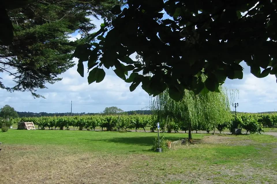 Le Chai du Buttay — photo 3