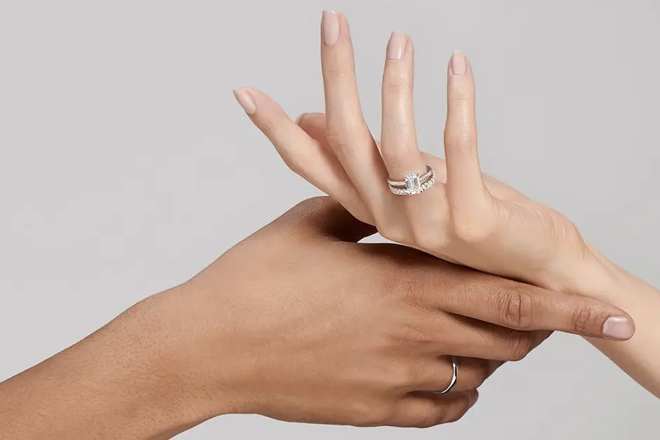 Zeina Alliances Lille — photo 9