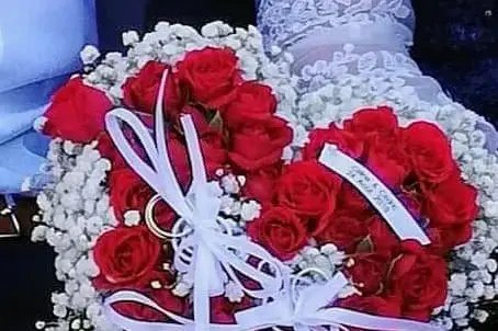 Evenwedd — photo 8