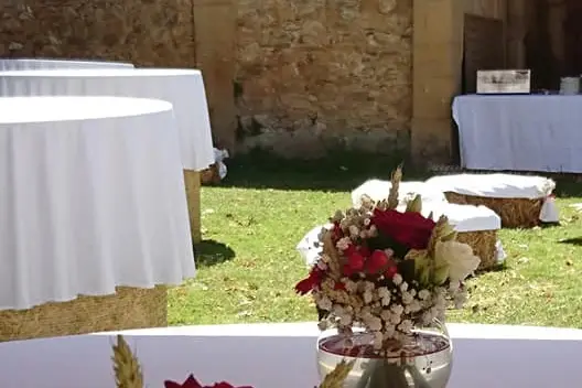 Evenwedd — photo 6