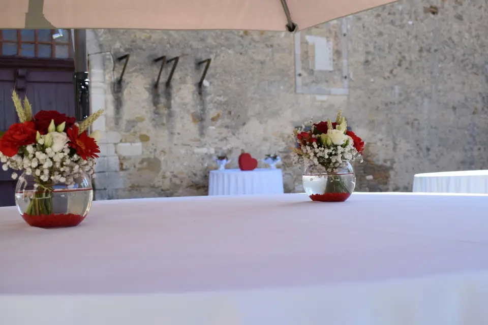 Evenwedd — photo 7