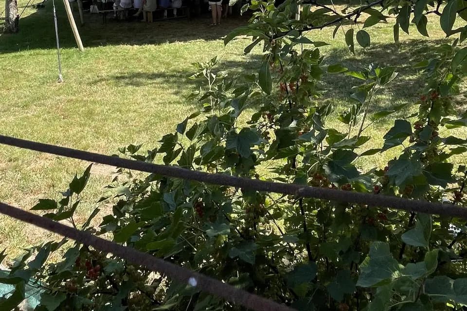 Les Granges de Melthé — photo 6