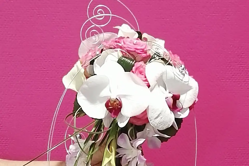 Passiflore — photo 3