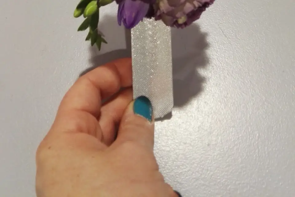 Passiflore — photo 5