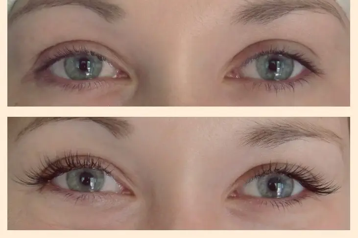 Jolibozongles - Beaune — photo 4