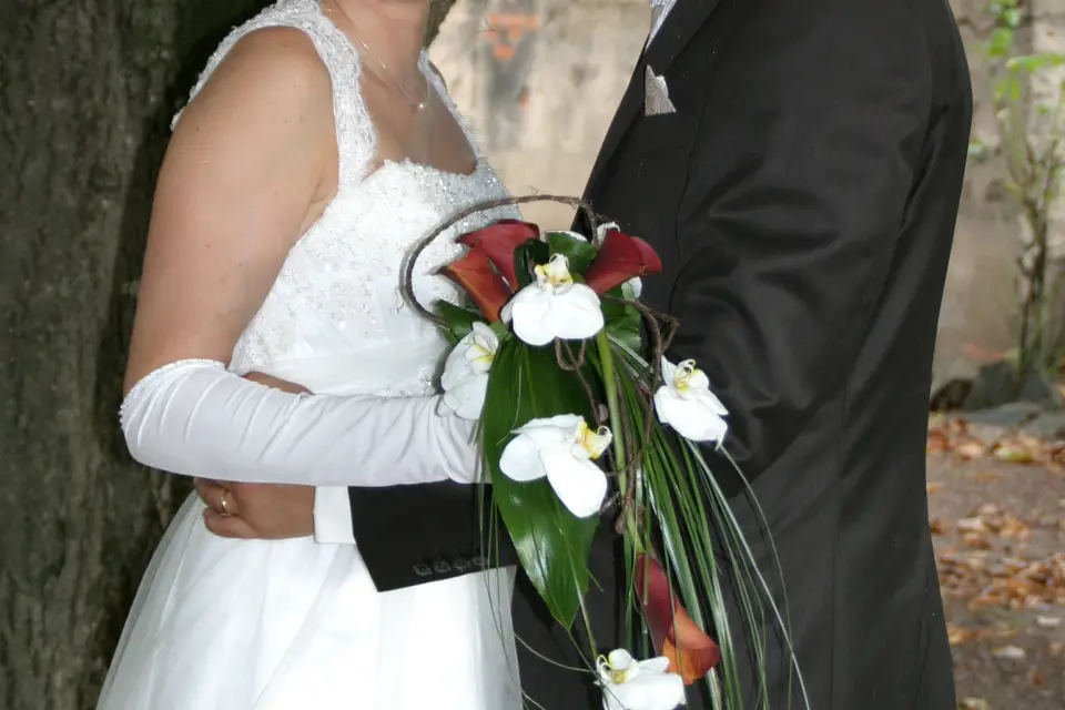 Rémy Degueurce Photographe — photo 6