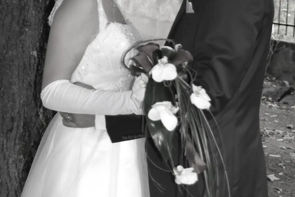 Rémy Degueurce Photographe — photo 7