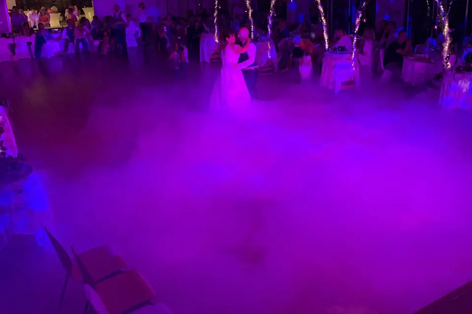 Ald Animation — photo 8