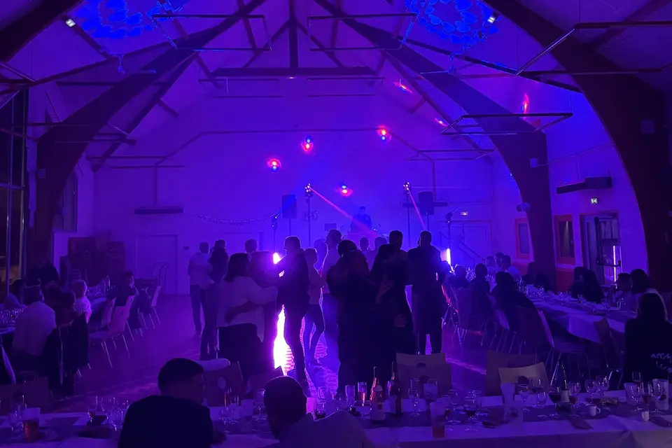 Ald Animation — photo 4