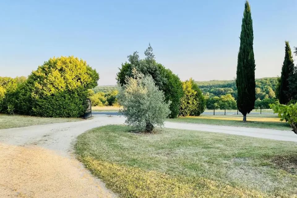 Domaine de Camberoux — photo 6