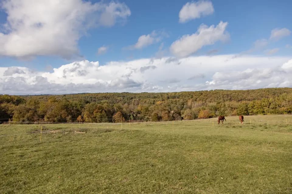 Domaine de Camberoux — photo 8