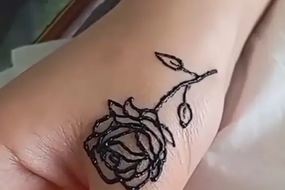 Samia henné — photo 2