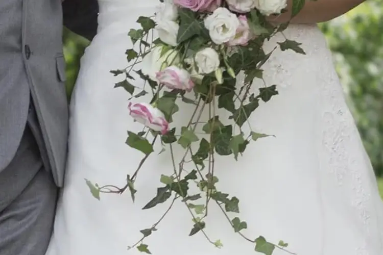 Vegetal Passion — photo 3