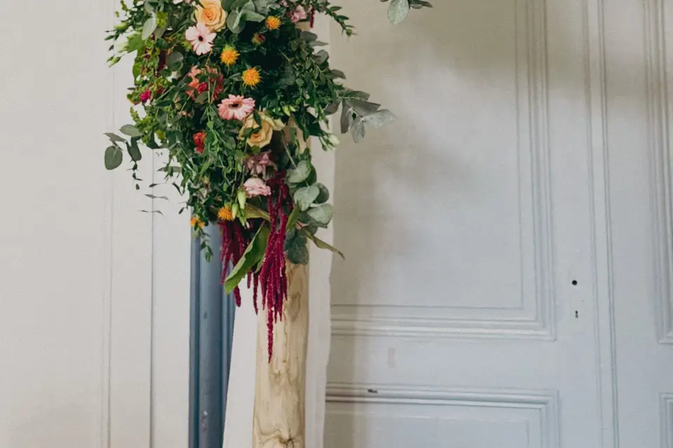 Corail Pétale — photo 6