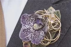 Even'Fleurs — photo 3