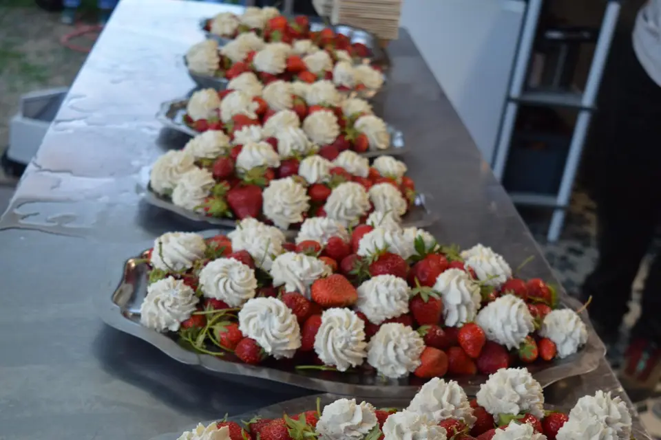 Tibère Pellet — photo 1