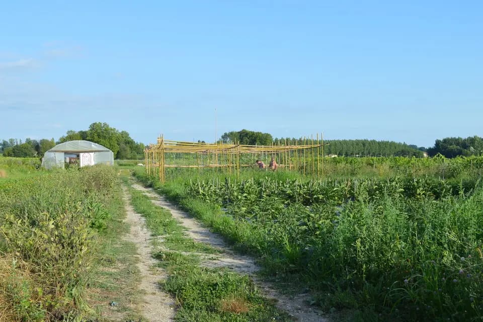 Tibère Pellet — photo 8