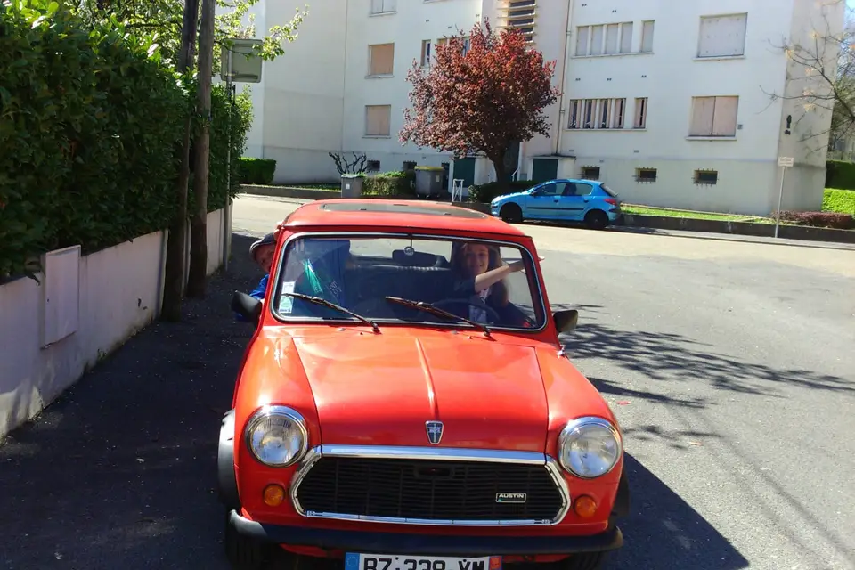 Mini Cevennes Marjorie — photo 5