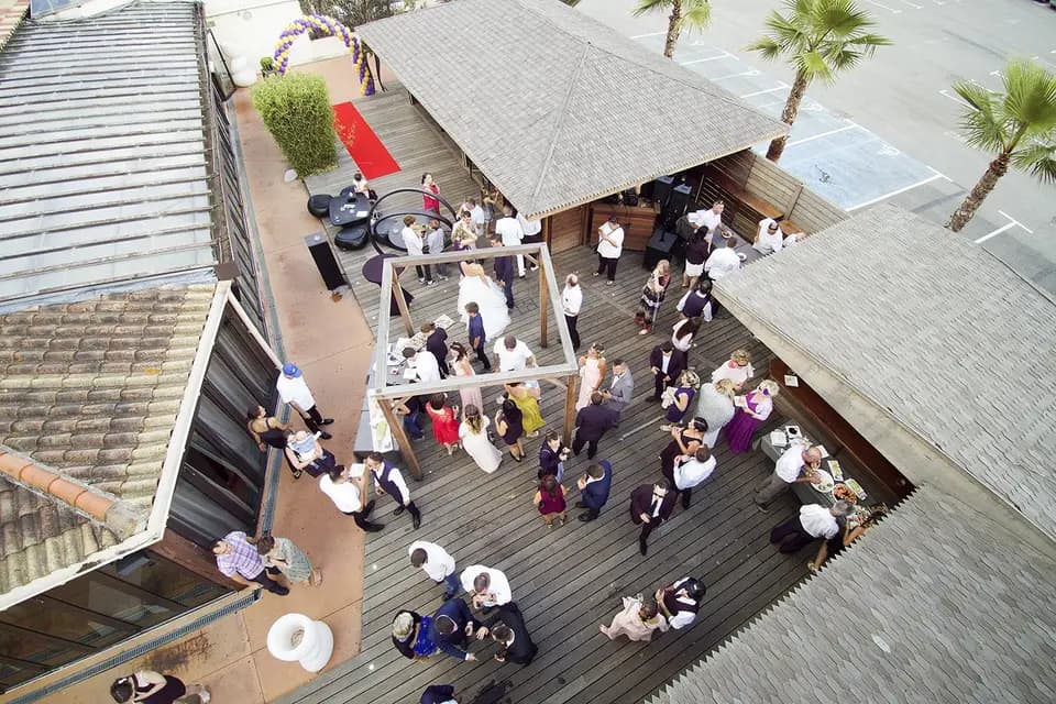 Pura Vida — photo 2