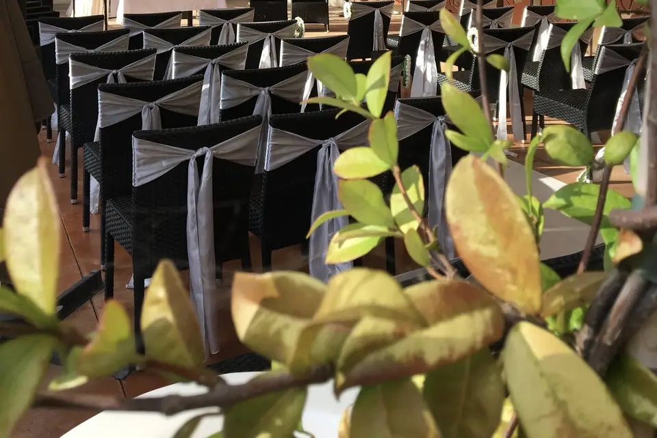 Pura Vida — photo 3