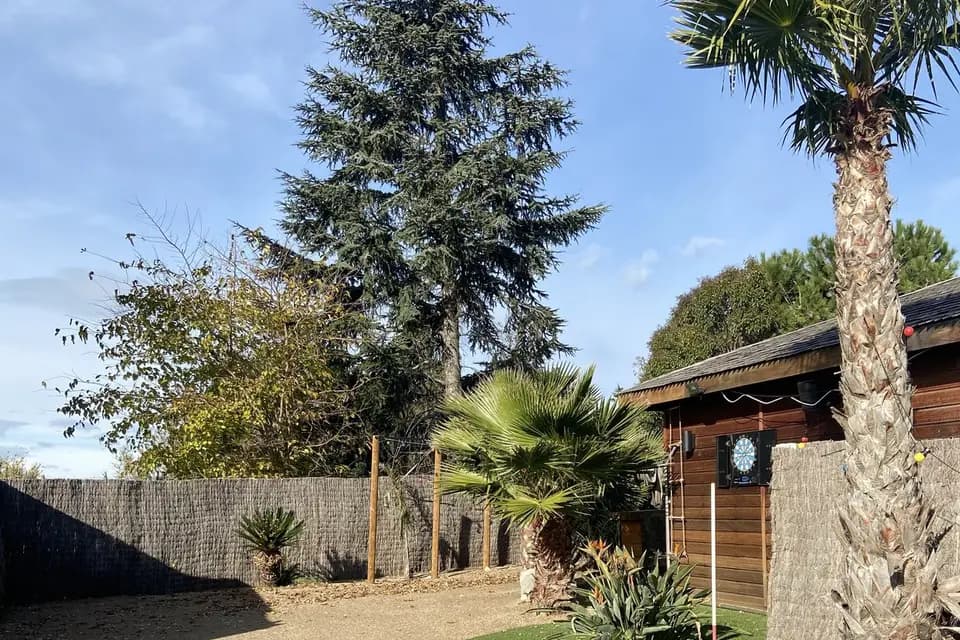 Pura Vida — photo 5