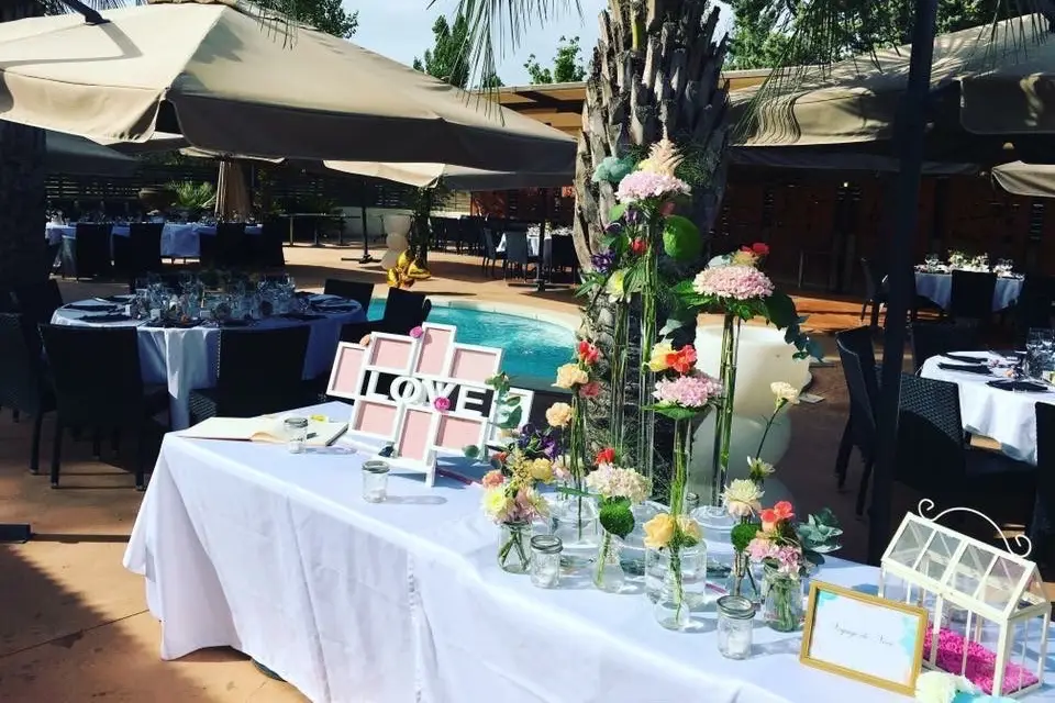 Pura Vida — photo 8