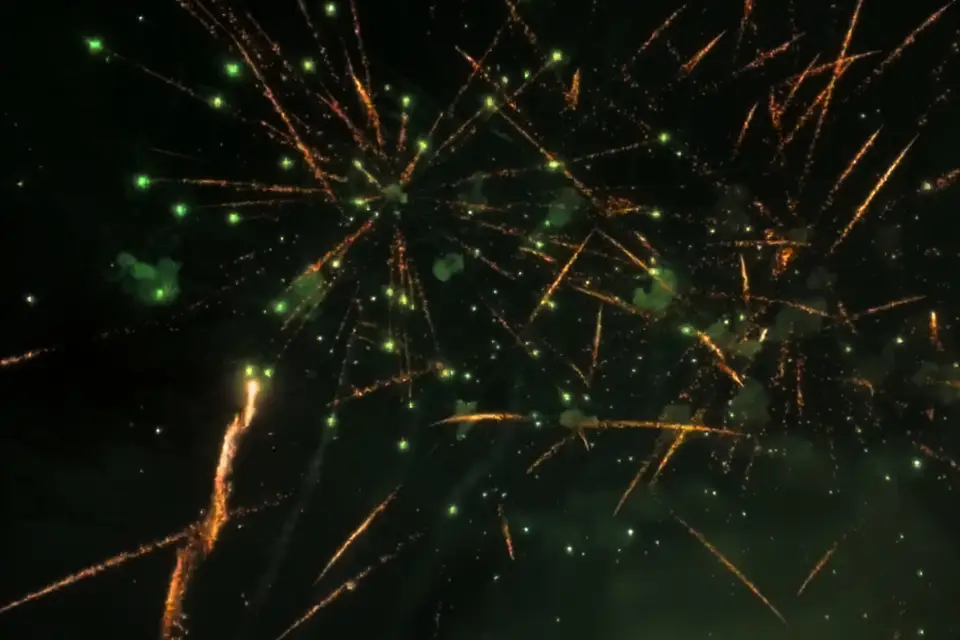 L&M Artifices — photo 4