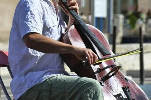 Shine et Rachel — photo 1