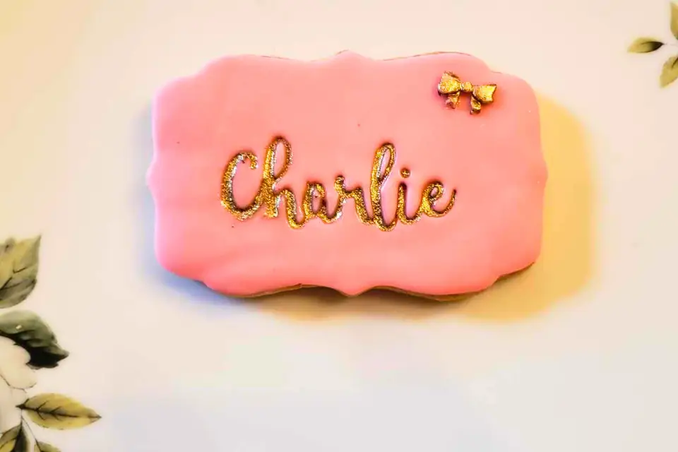 Le carrousel des délices — photo 7