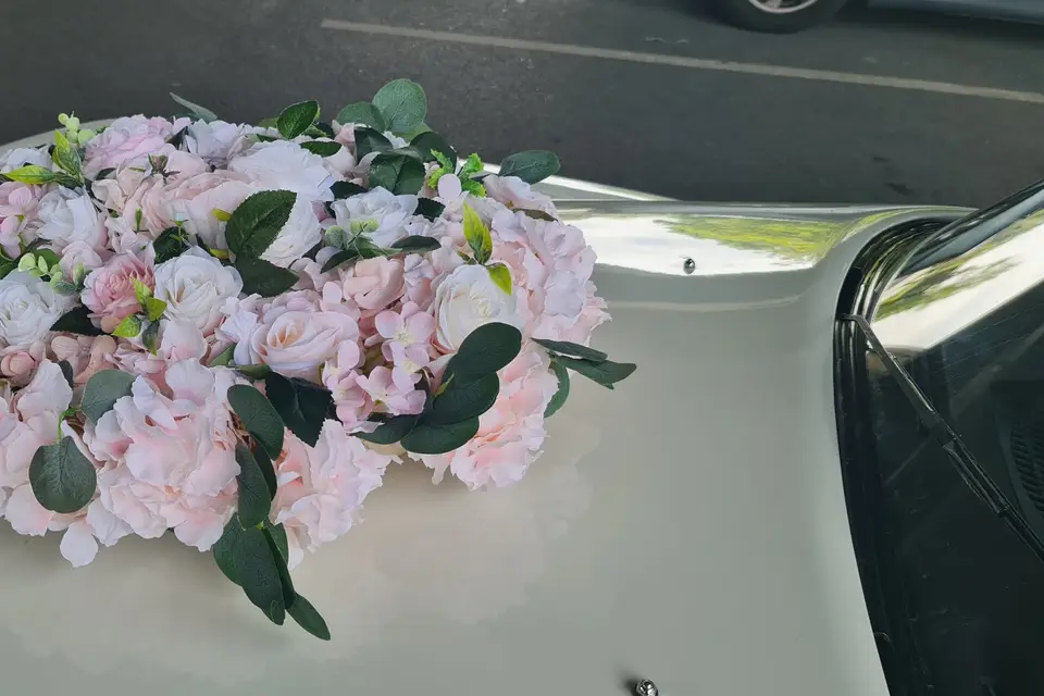 Location DS Collection — photo 8