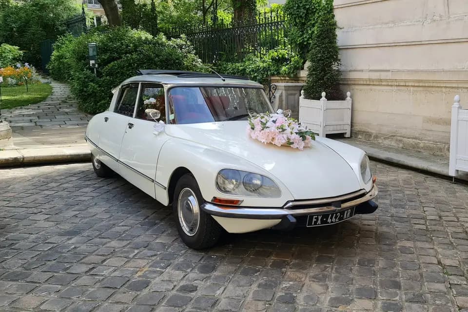 Location DS Collection