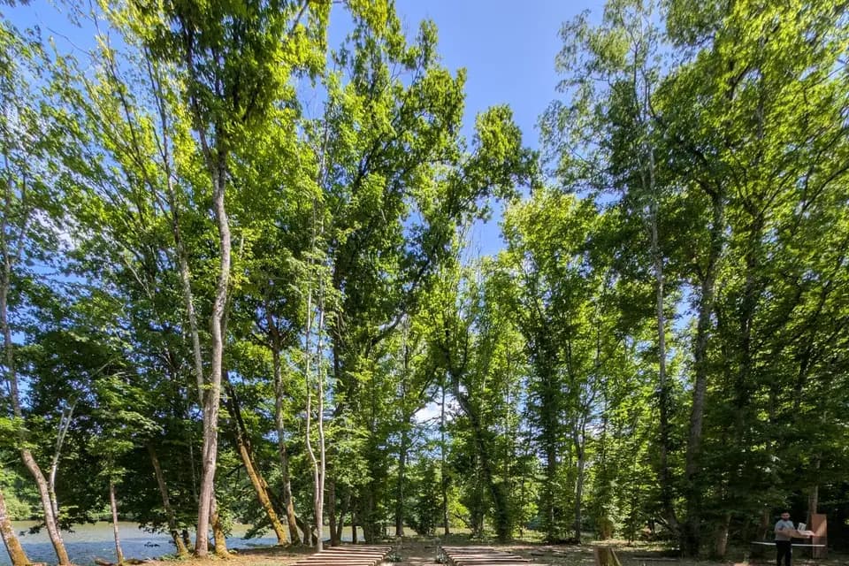 Florescence — photo 6