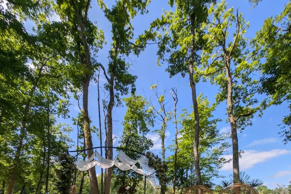 Florescence — photo 7