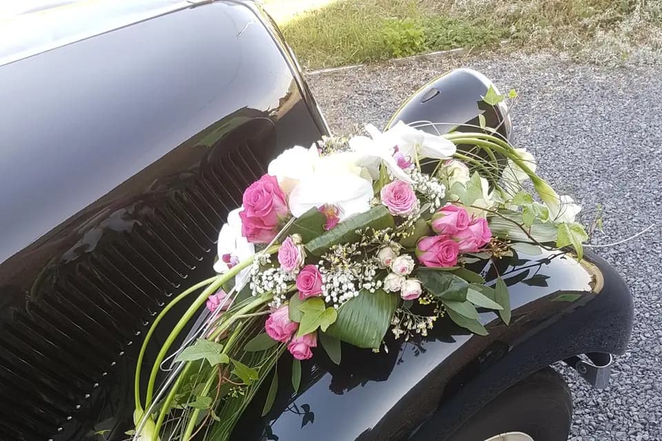 Un coin de nature — photo 3