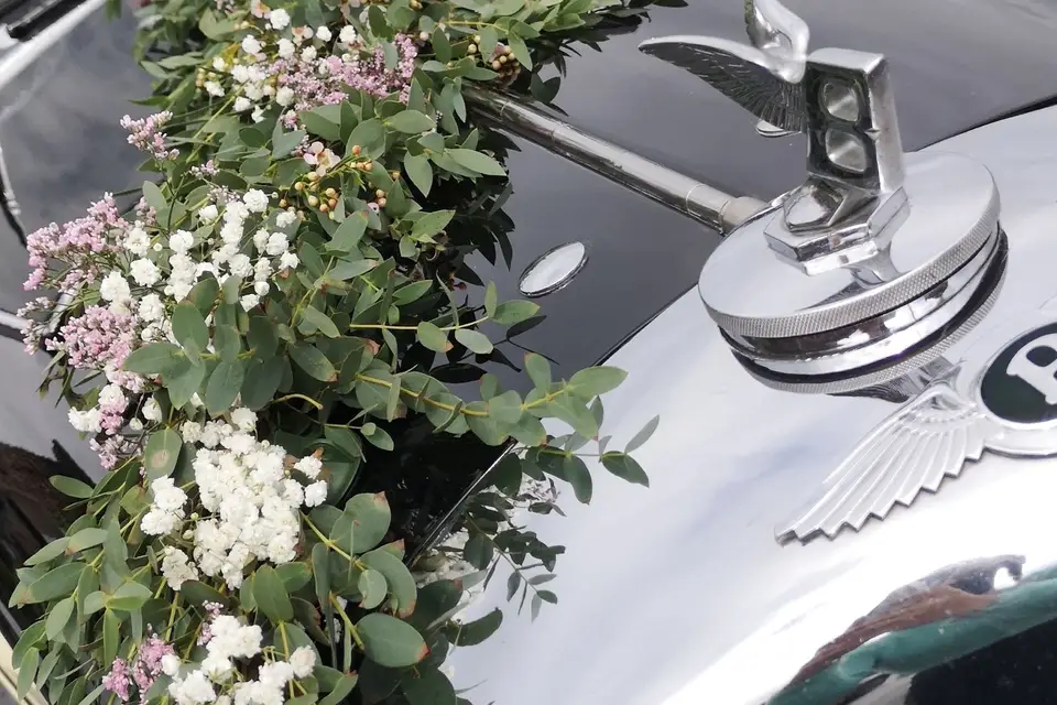 Un coin de nature — photo 5