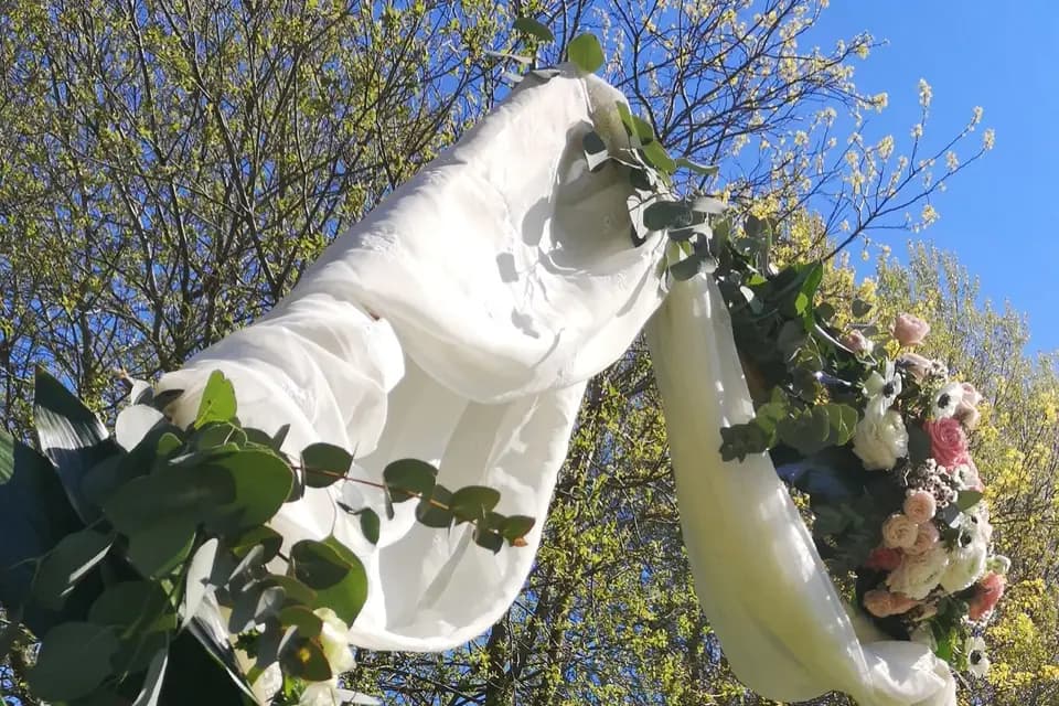 Un coin de nature — photo 6