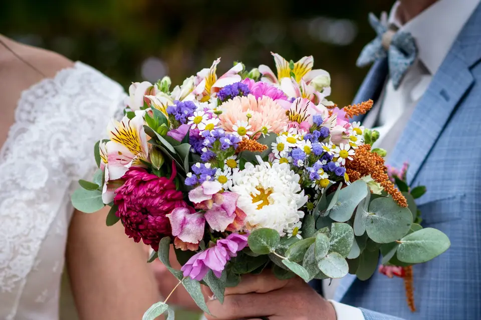 Un coin de nature — photo 7