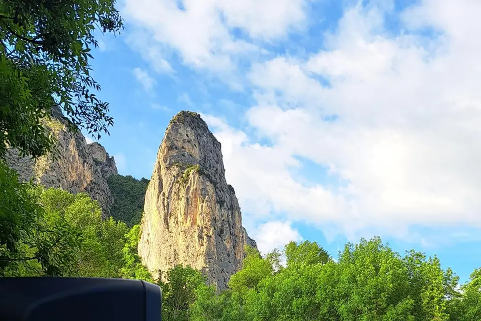 Wolf Sound System — photo 4