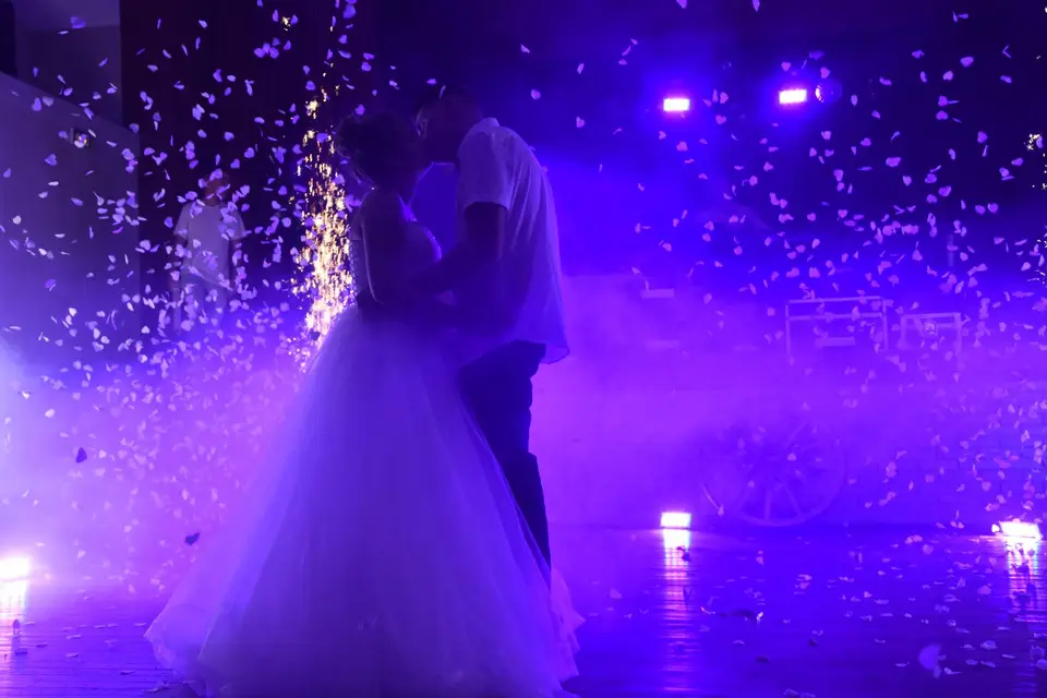 Wolf Sound System — photo 6