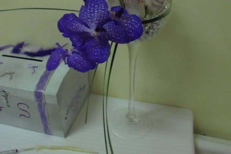 Milles et un Souhait — photo 3