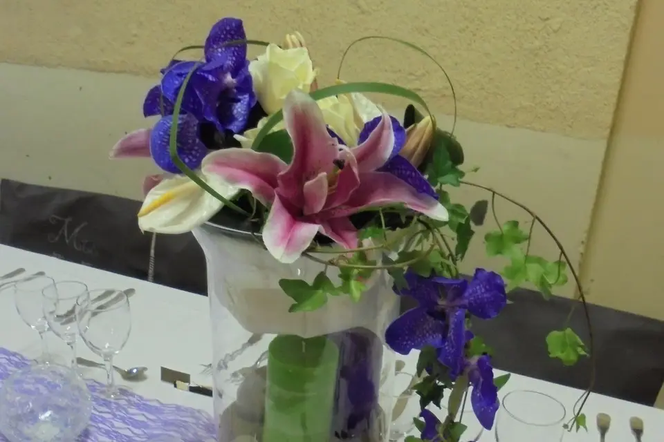 Milles et un Souhait — photo 6