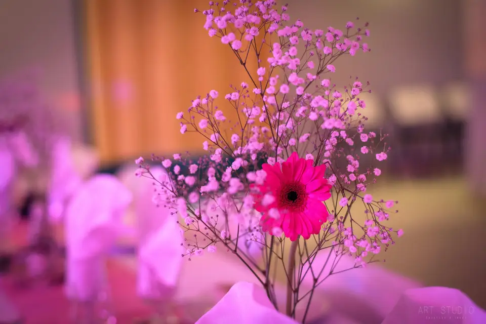 O² Production — photo 7