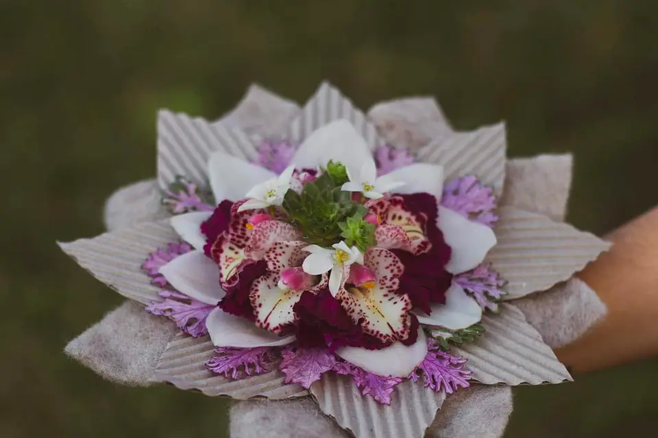 Euphorie Florale — photo 4