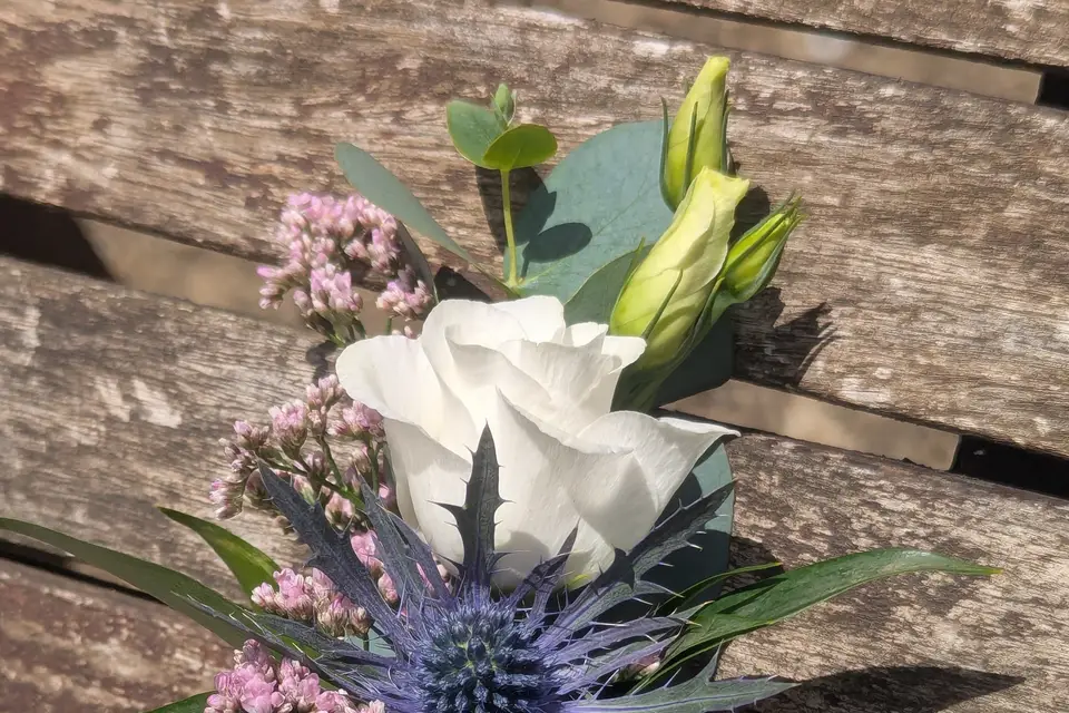 Euphorie Florale — photo 2