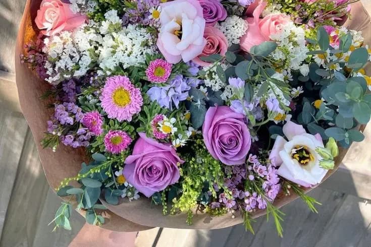 La pensée de Sylva — photo 3